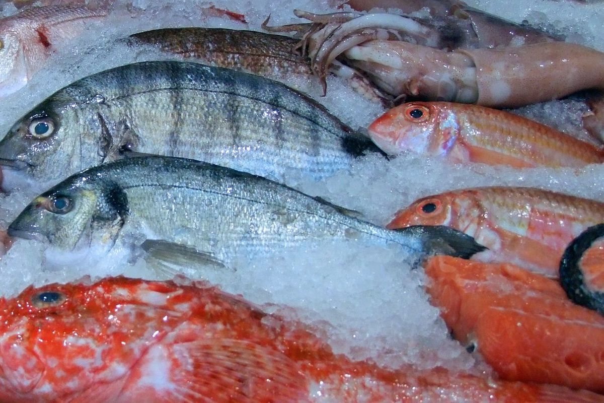 Al's Fresh Fish & Chicken: kép a saját honlapjukról
