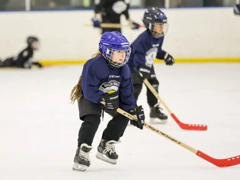 Detroit Police Athletic League: kép a saját honlapjukról