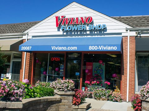 Viviano Flower Shop – Grosse Pointe Woods: kép a saját honlapjukról