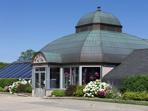 Viviano Flower Shop: kép a saját honlapjukról