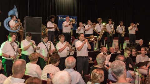 Blue Lake International Jazz Ensemble — Organizer image