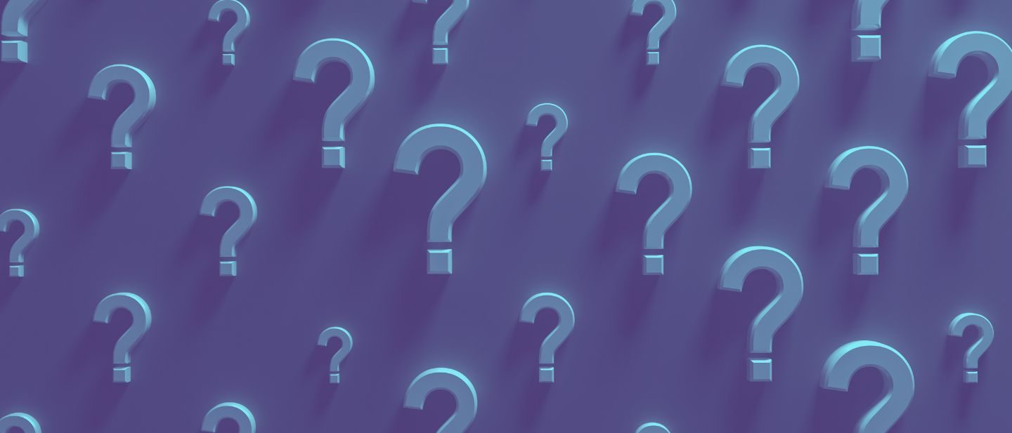 Trivia Night – november — Szervezői kép