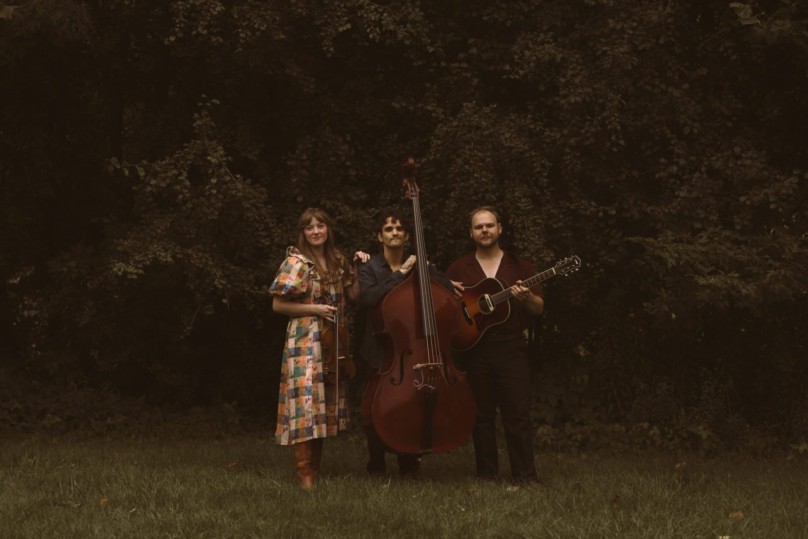 The Wildwoods koncert az Ann Arbor-i The Arkban — Szervezői kép