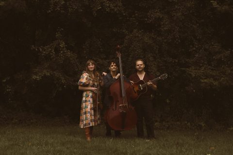 The Wildwoods koncert az Ann Arbor-i The Arkban — Szervezői kép