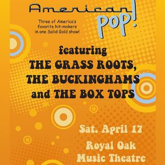 American Pop — Organizer image