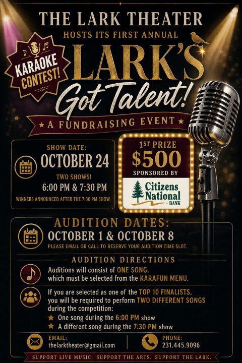 The Lark's Got Talent Auditions — Organizer image