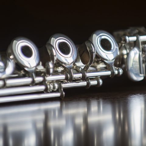 FSPA Faculty Concert Series: Bryan Guarnuccio (fuvola) — Szervezői kép