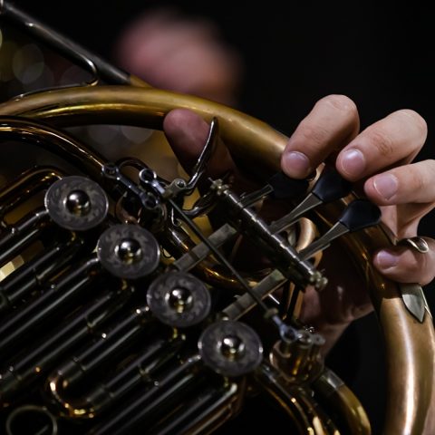 FSPA tanári hangversenysorozat: Dominic Hayes (kürt) és a Pure Winds Quintet — Szervezői kép