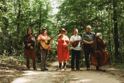 Trampled By Turtles at The Majestic Theatre — Organizer image