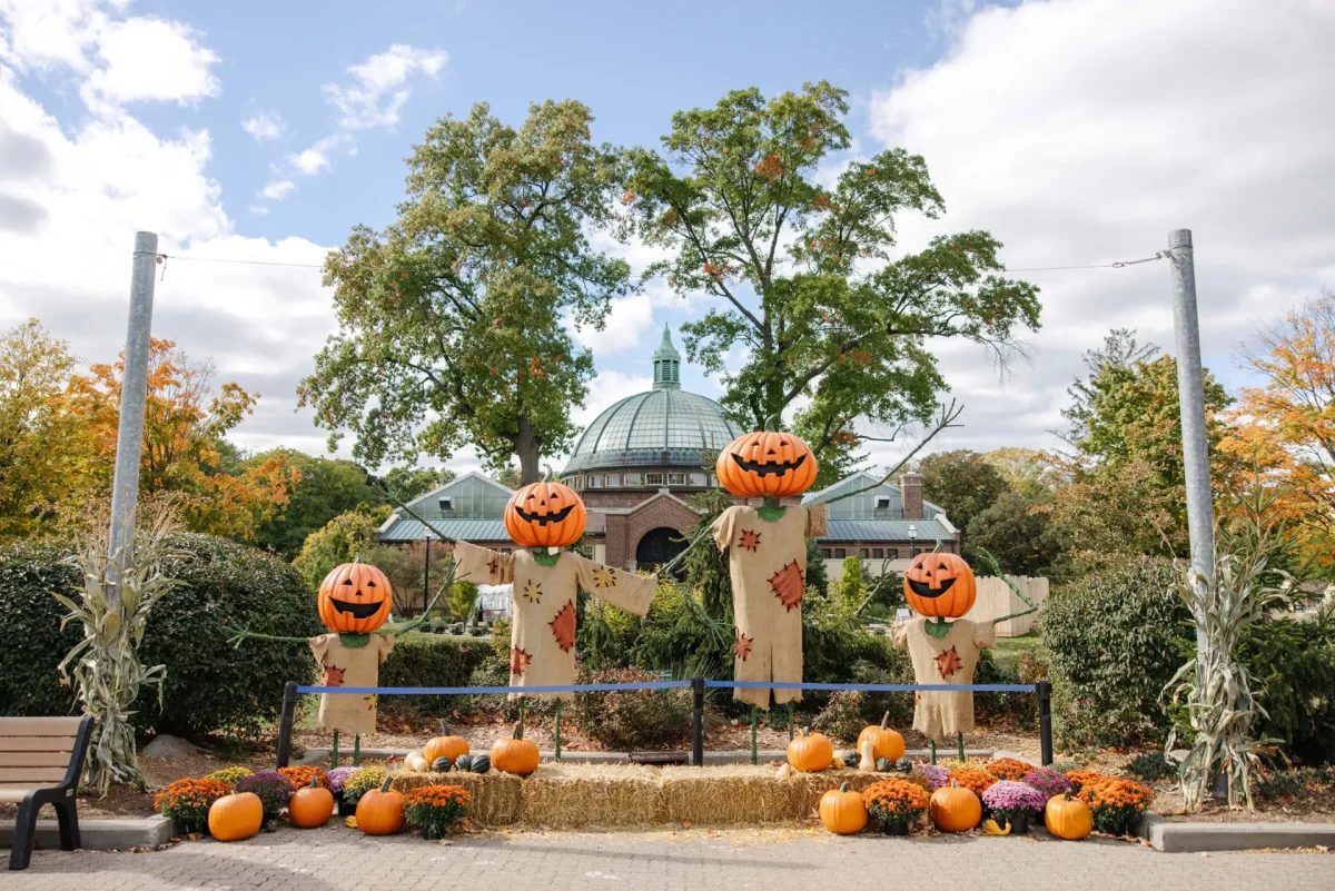 Zoo Boo: Halloween weekends at the Detroit Zoo — Organizer image