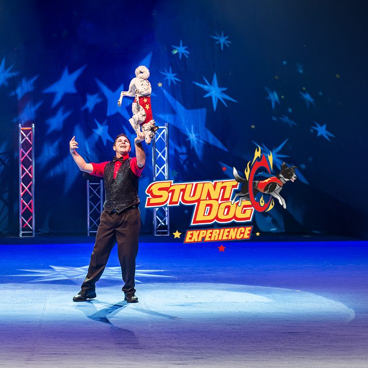 The Perondi's Stunt Dog Experience — Szervezői kép