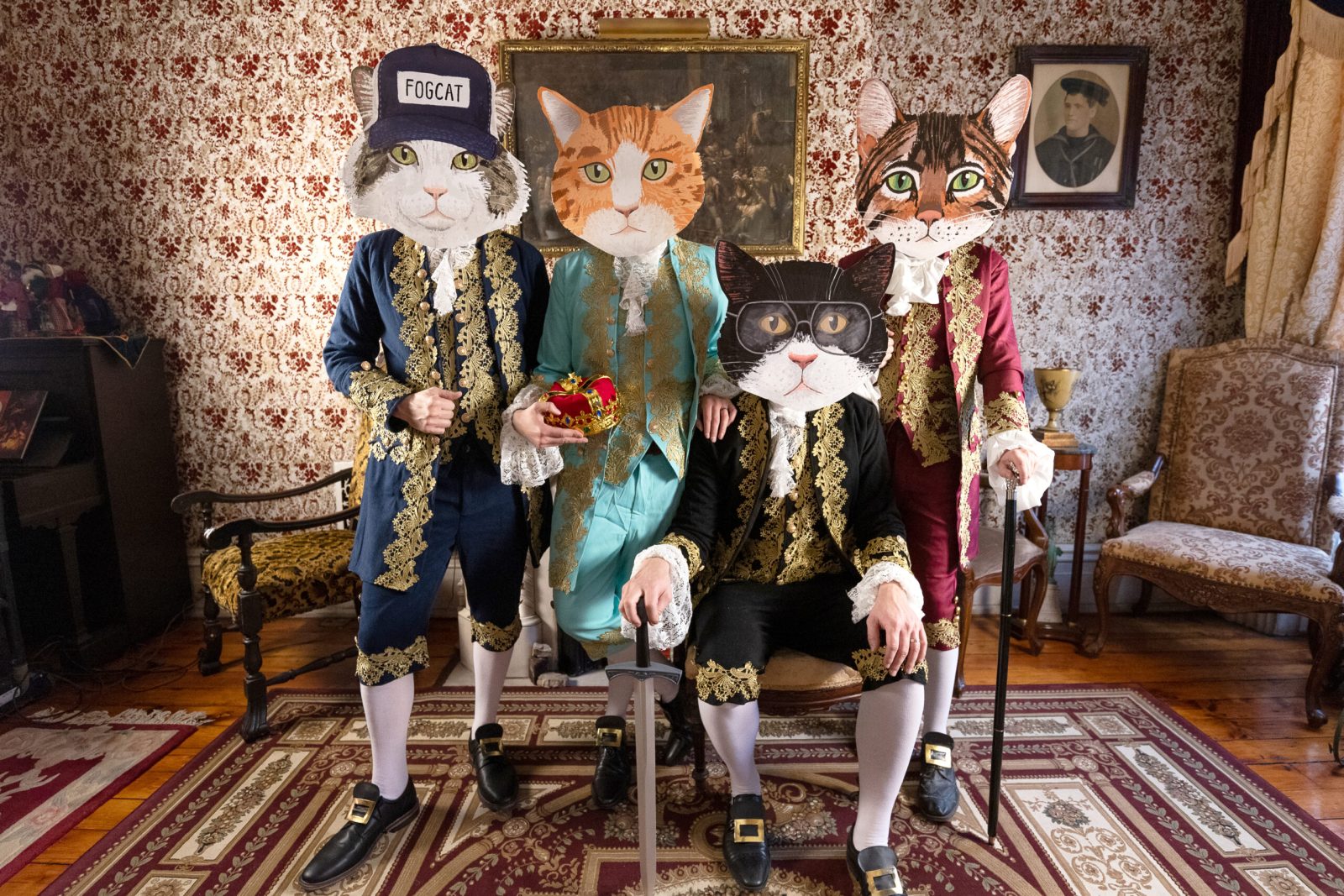 Fantastic Cat — Szervezői kép