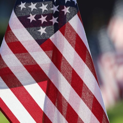 Mona Shores zenekarai: Amerikai tisztelgés — Szervezői kép