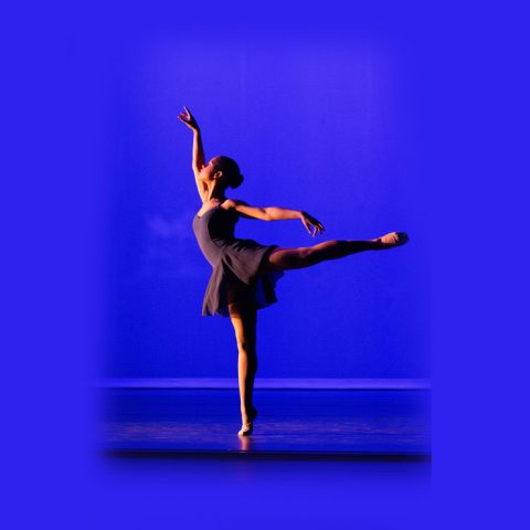 Festival of Dance — Szervezői kép