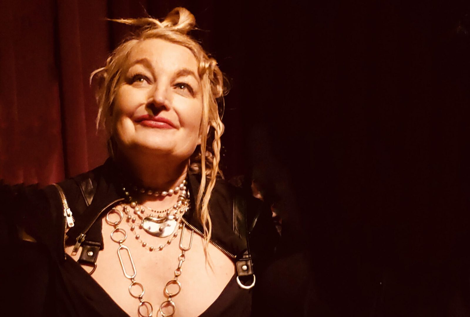 Jane Siberry — Szervezői kép