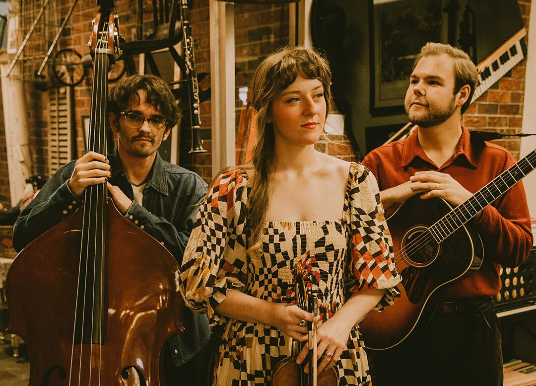 The Wildwoods koncertje Ann Arborban — Szervezői kép