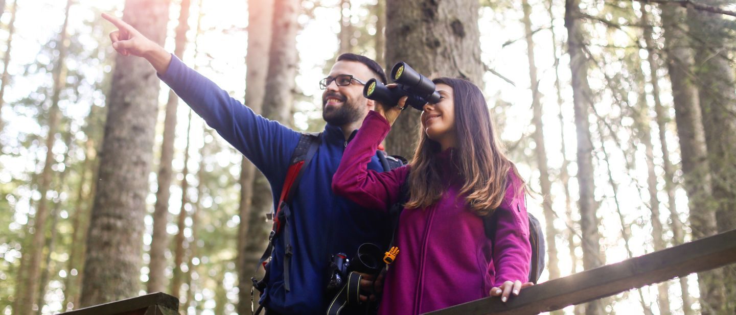 Bird Walks — Organizer image