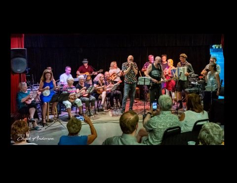 Summer Sounds az Ann Arbor Art Fair-en — Szervezői kép