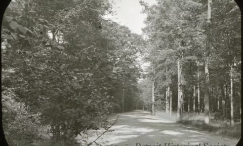 Előadás: Native Roots – Belle Isle őslakos története — Szervezői kép