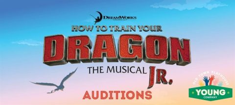 Audition: How to Train Your Dragon The Musical JR — Organizer image