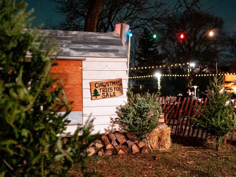 Holiday Greens & Tree Market