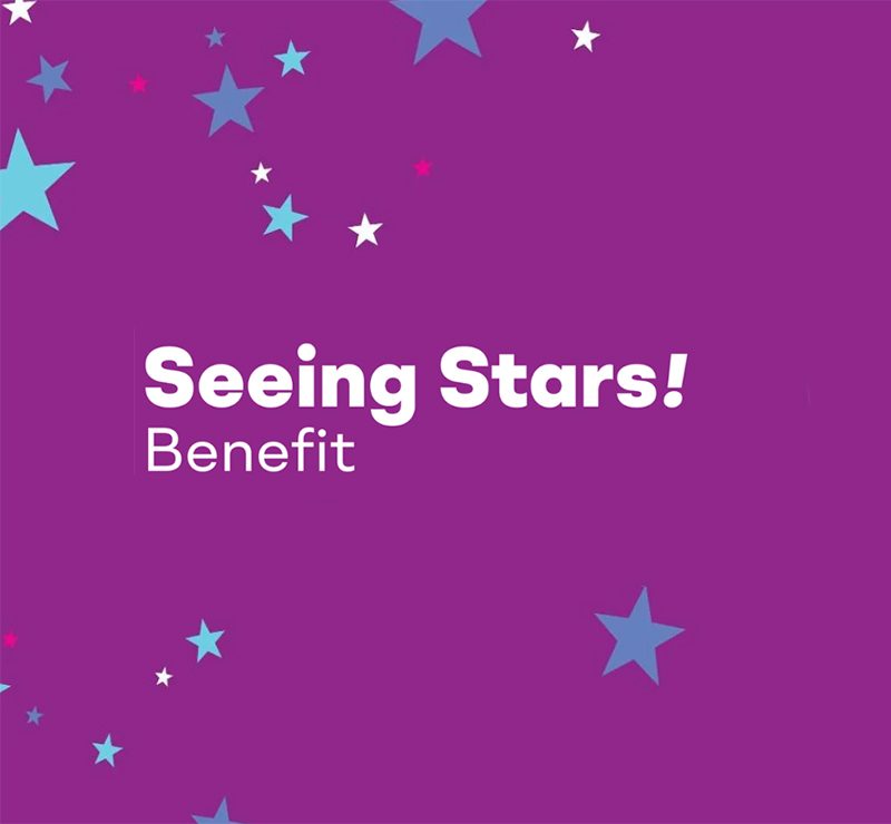 Seeing Stars! jótékonysági est — Szervezői kép