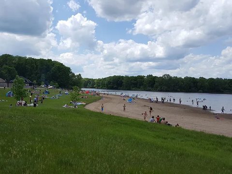 Homokos tópart és fű a parkban