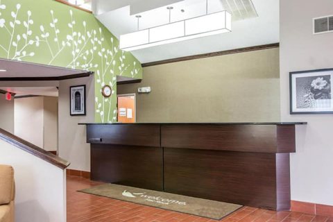 A recepció sötét pulttal és zöld mintás fallal