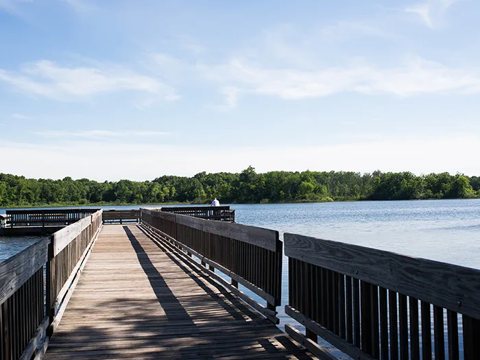 A wooden boardwalk over the lake