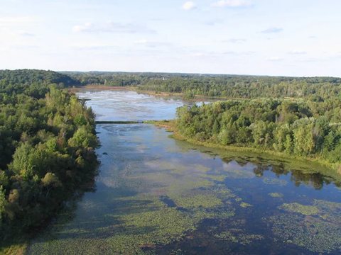 A winding river and forest from above