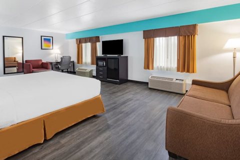 A guest room with a king bed, a sofa and a turquoise wall stripe
