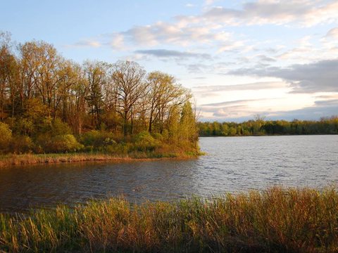 Autumn colors along the lake shore