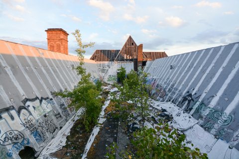 A Lee Plaza lecsupaszított, graffitis tetője fákkal benőve 2016-ban