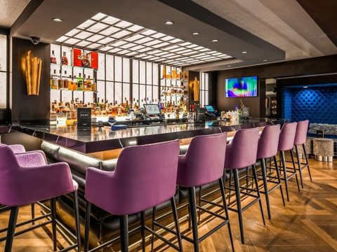 The bar with purple bar stools and shelves of bottles behind the counter