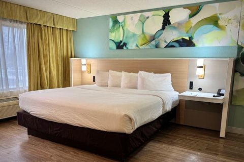 Guest room with a king bed and a colorful wall painting