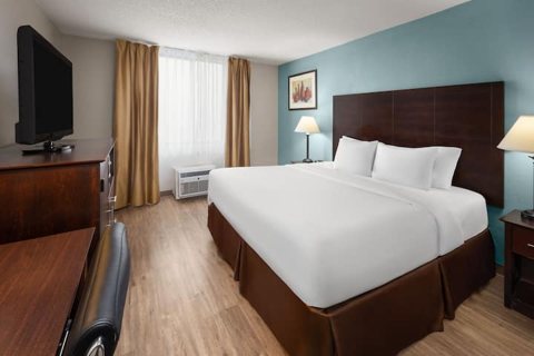 Guest room with a king bed, a blue wall and a TV