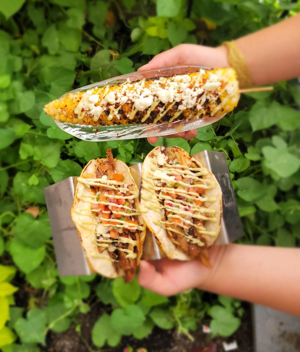 Grilled street corn and two tacos held up against greenery