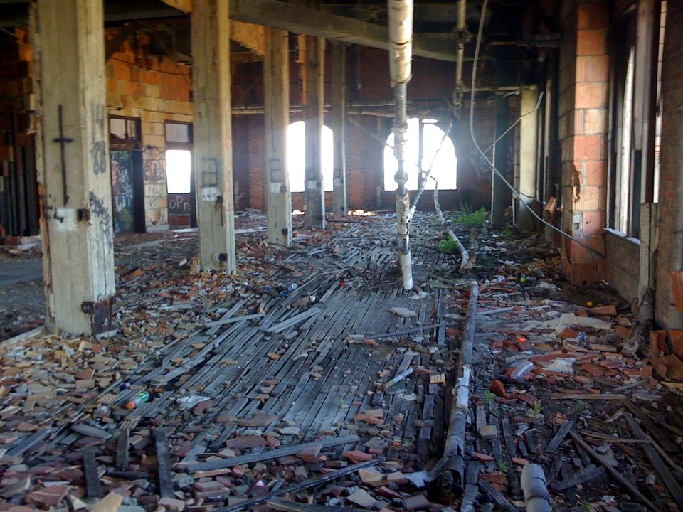 A birch tree growing out of the collapsed floor, 2010