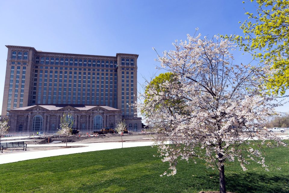 A cherry tree in bloom beside the station, 2023