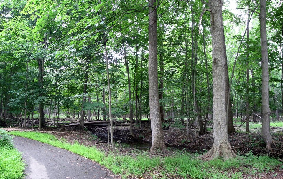 Lloyd A. Stage Nature Center