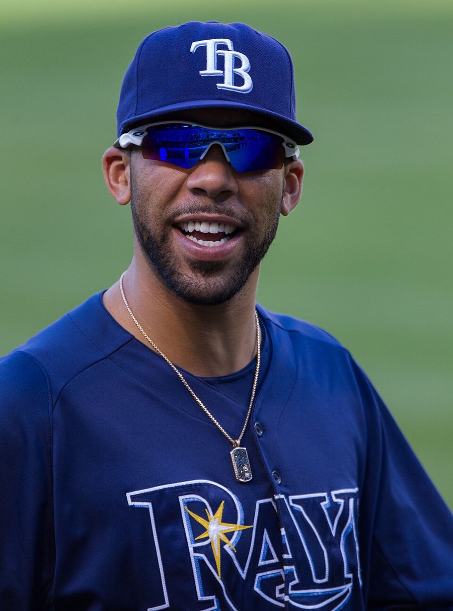 David Price portréja