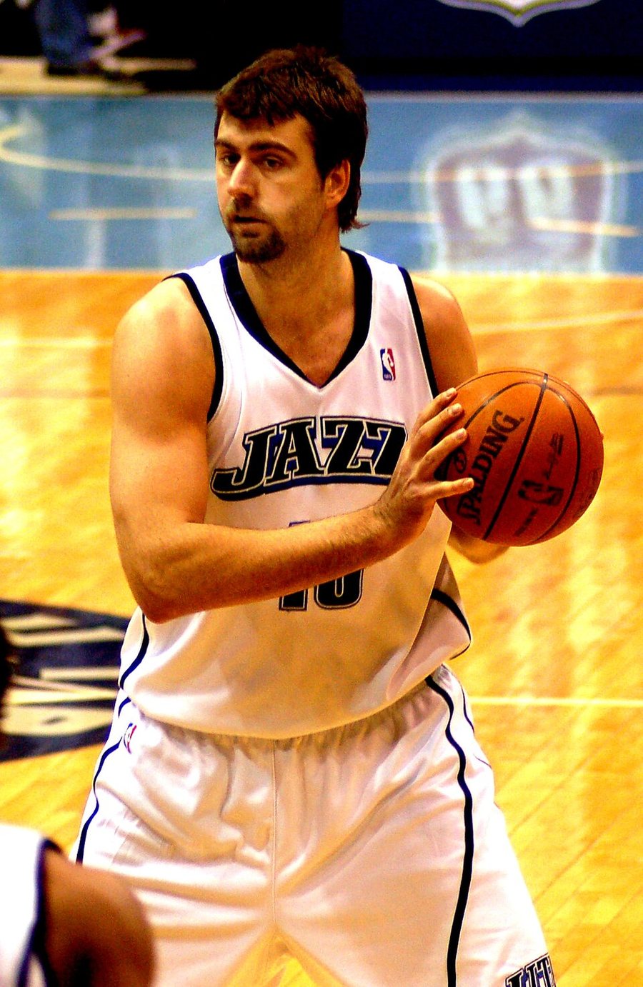 Mehmet Okur portréja