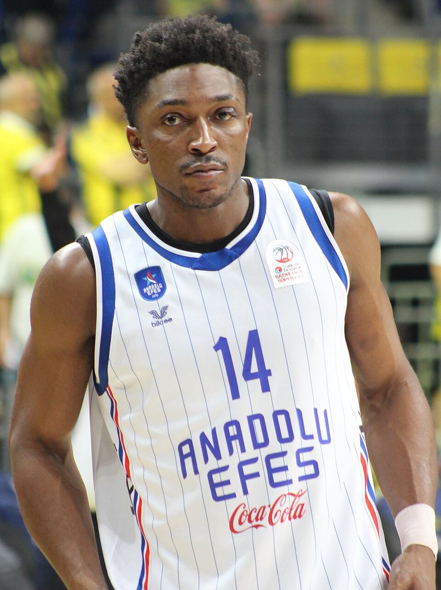Stanley Johnson portréja