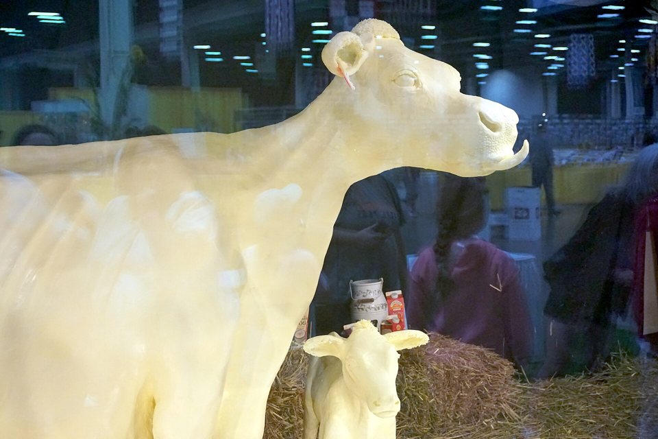Michigan State Fair: az állami vásár, ma Noviban