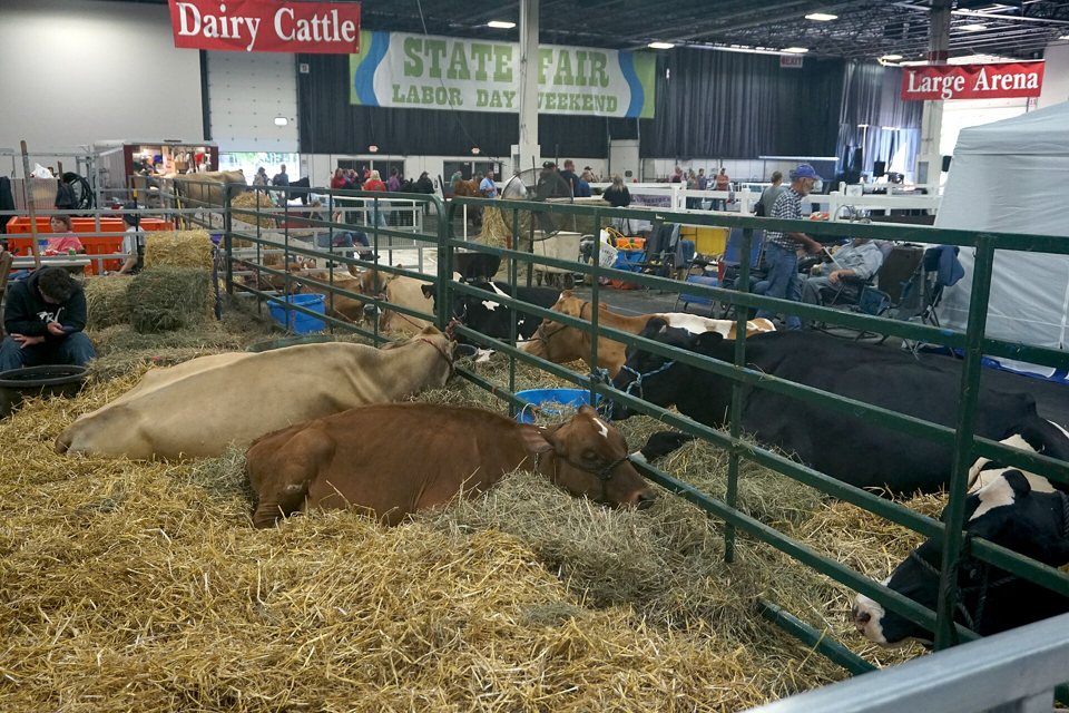 Michigan State Fair: az állami vásár, ma Noviban